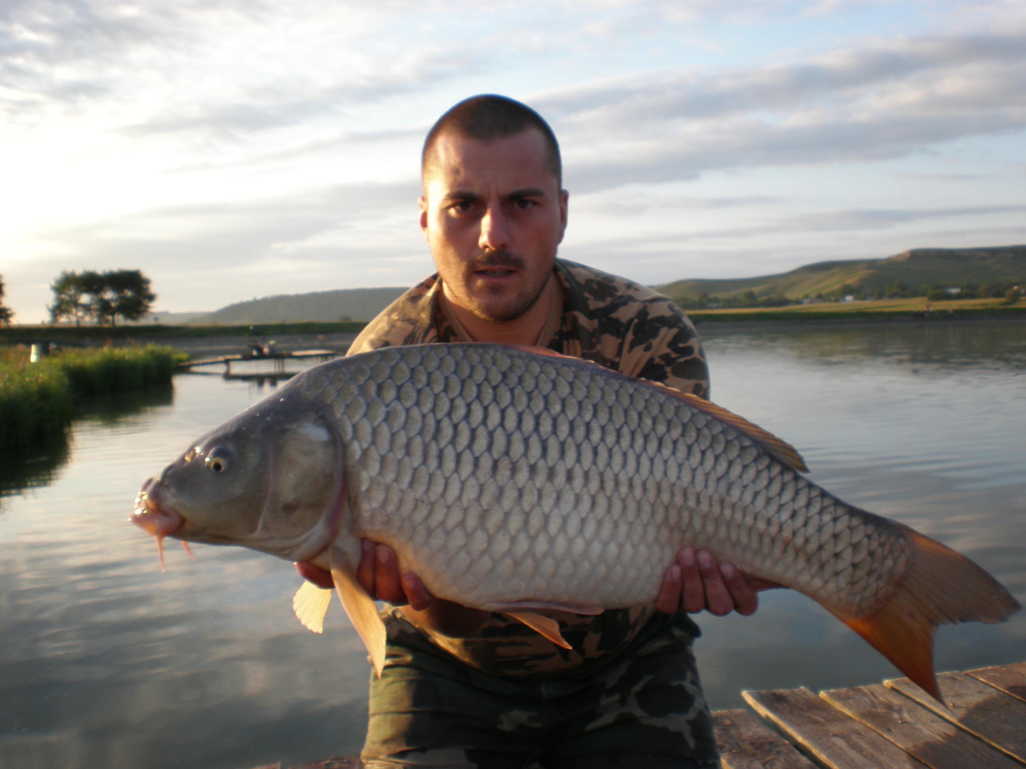 ccarp - P8210106.JPG